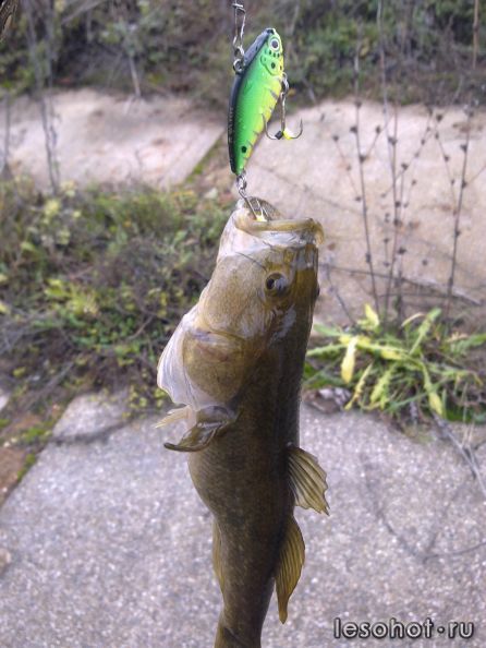 ����0207.jpg