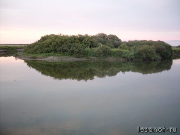 SDC11239.JPG