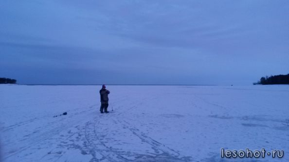 20150308_065519.jpg