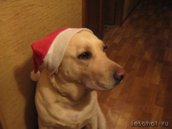 IMG_0519.JPG