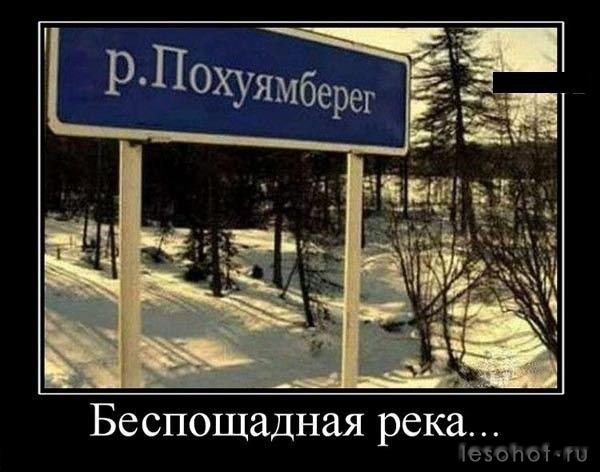 .jpg