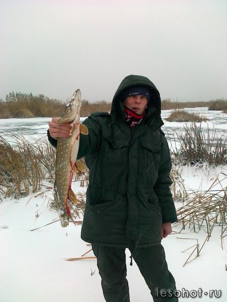 03122011217.jpg