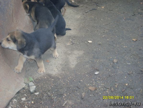 SDC13153.JPG