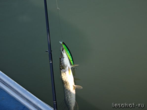 ����� 18.09.14 (3).JPG1.JPG