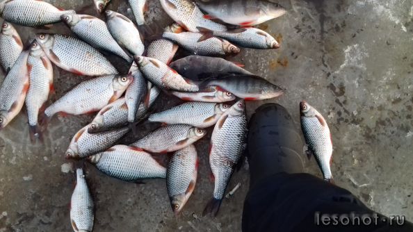 20160330_182102.jpg