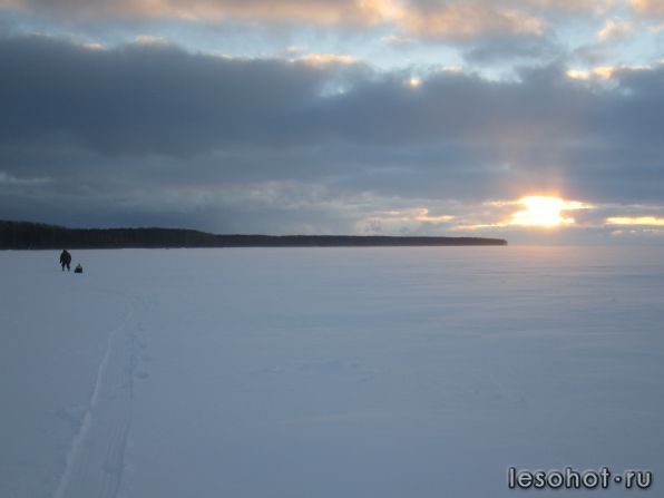 IMG_7181.jpg