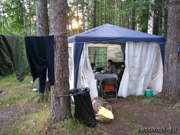 IMG_2402.jpg