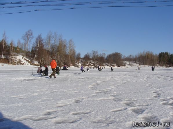 DSC09121.JPG