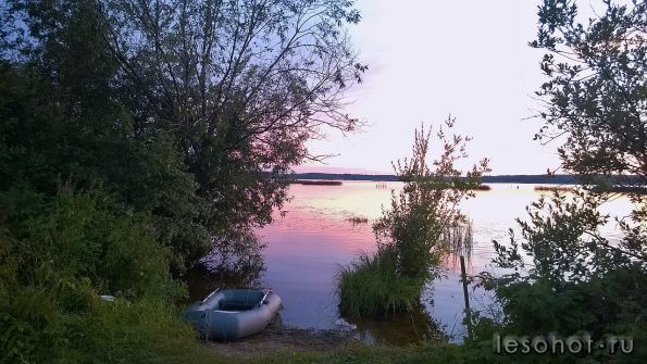 WP_20140730_027.jpg