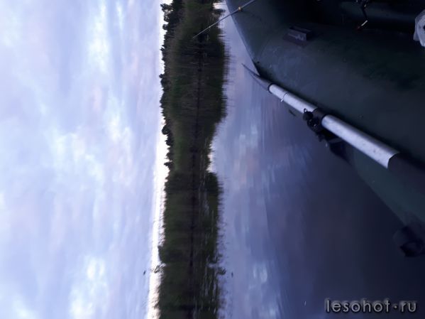 20180614_034314.jpg