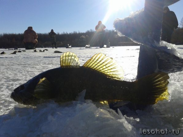 20141024_111436.jpg
