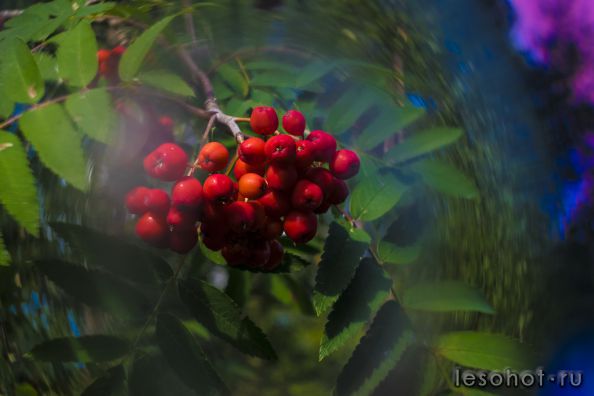 DSC_0180.jpg