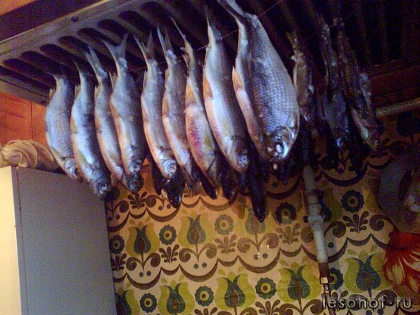 Photo_00004.jpg