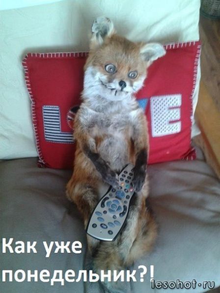 1353937257_lis19.jpg