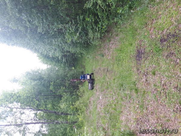 20180613_175048.jpg