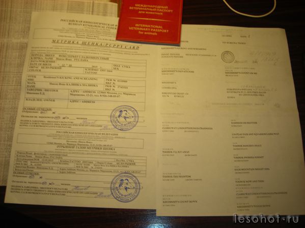 DSCN2505.JPG
