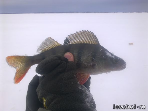����0576.jpg