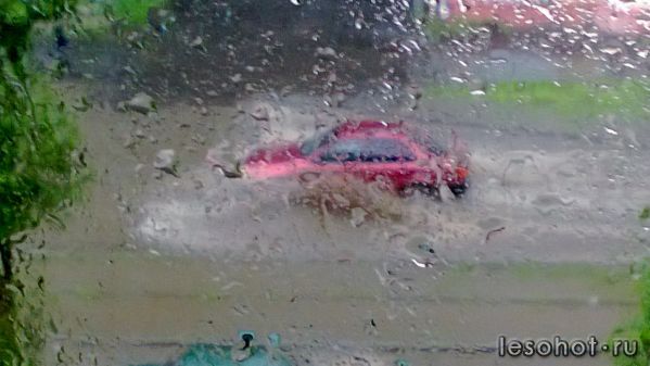 WP_20130530_007.jpg