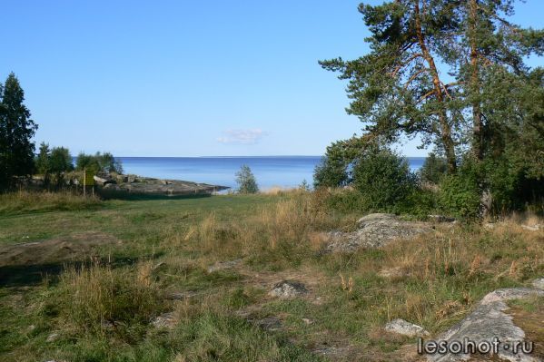 P1070314.JPG