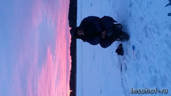 20150308_065507.jpg