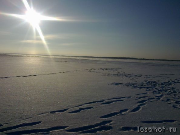 190120142275.jpg