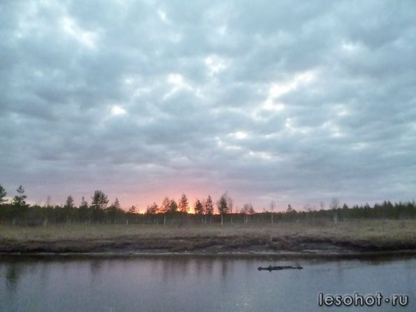 photo_00033.jpg