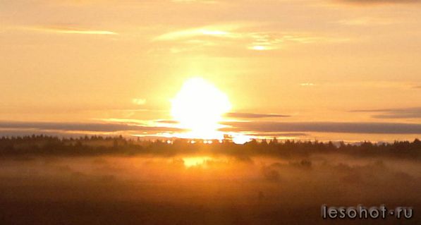 04092011226_2.jpg