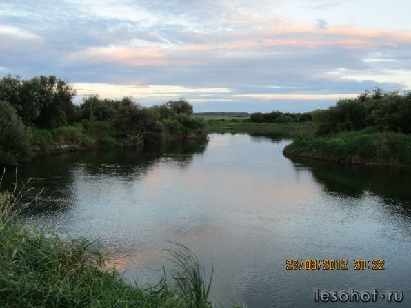 IMG_2661.JPG