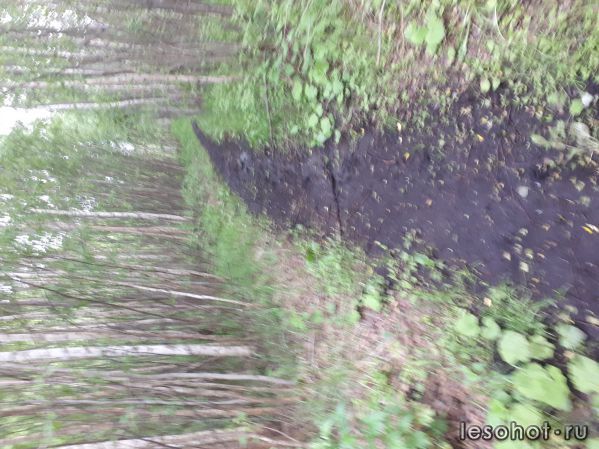 20180613_173533.jpg