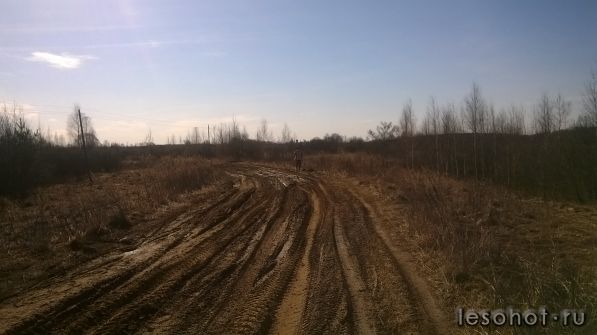 WP_20150412_09_50_35_Pro.jpg