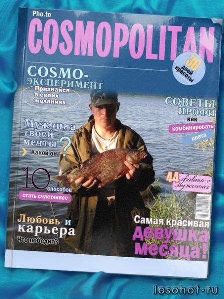 .jpg