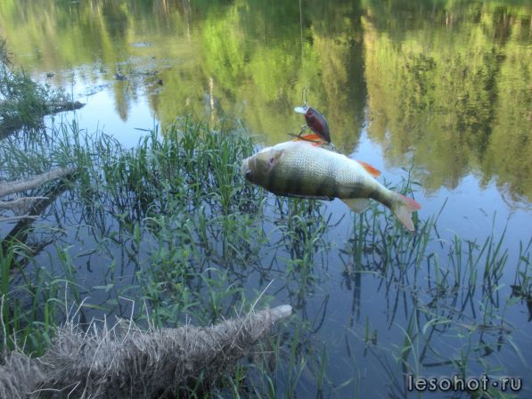DSCN5738.JPG