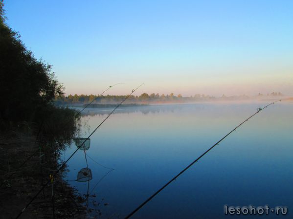 IMG_0008.JPG