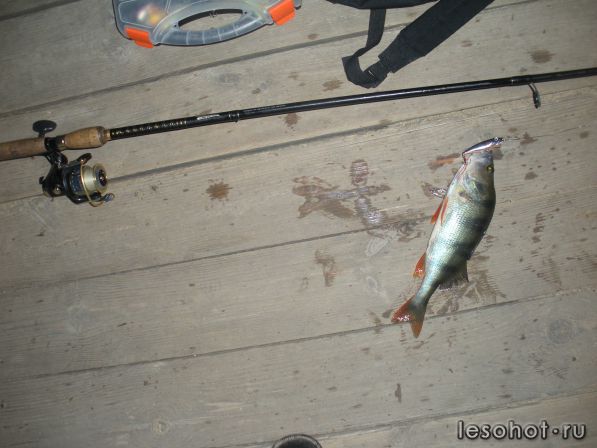 DSCN4305.JPG