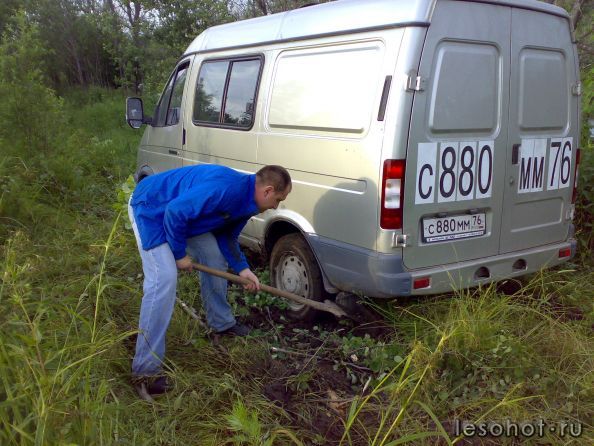 � ����� ������