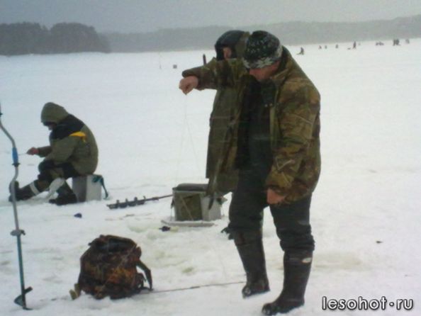 29012011022.jpg