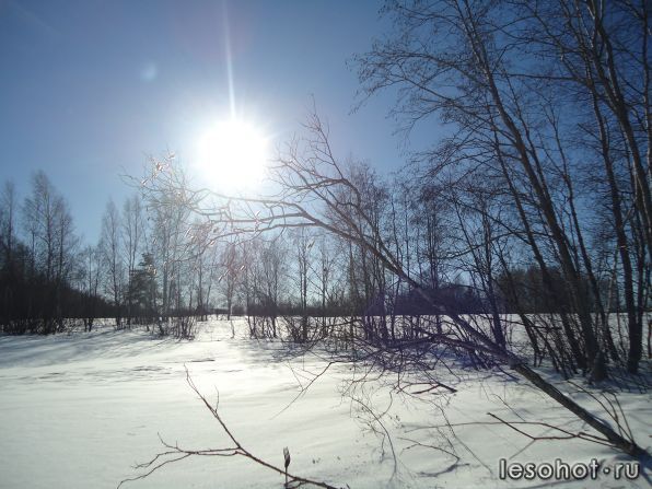 DSC07528.JPG
