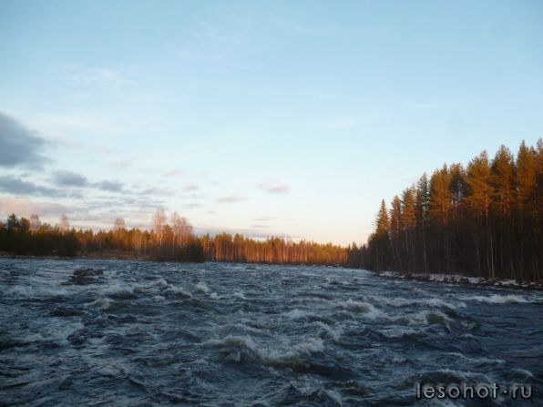 photo_00012.jpg