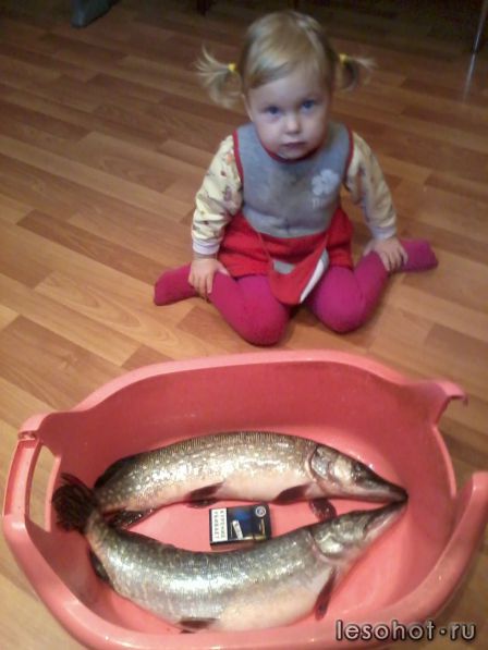 19.33.14.jpg