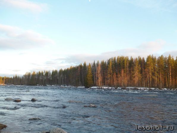 photo_00010.jpg