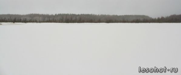 0_94c53_b098e24e_XL.jpg
