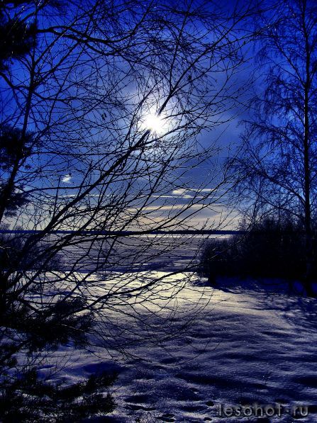 ��� ������ (144).jpg