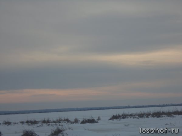 SAM_0568.JPG