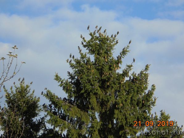DSC01780.JPG