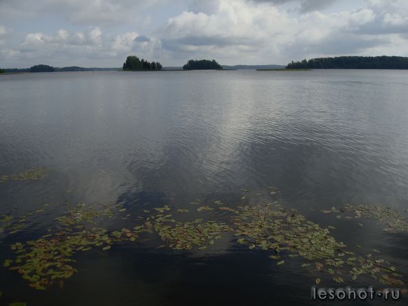 DSC02646.JPG