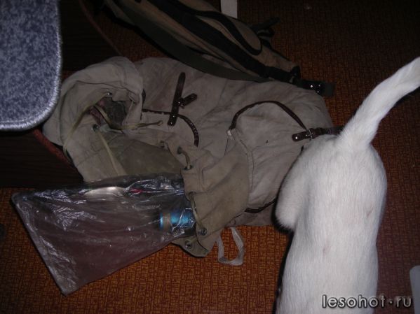 DSCN2495.JPG