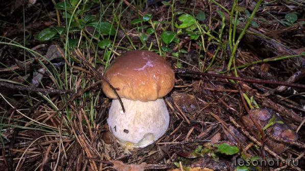 photo_00041.jpg