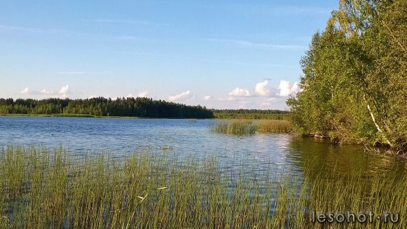WP_20140730_019.jpg