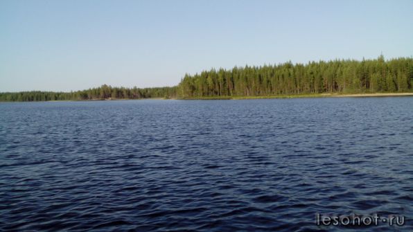 IMG_20140805_190452.jpg