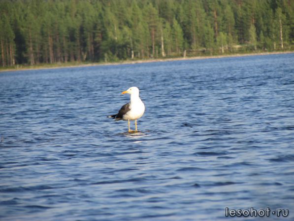 IMG_0812.JPG